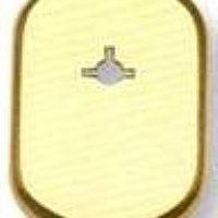 DISEC A2111-F9 ΡΟΖΕΤΑ ΓΙΑ ΟΜΕGA ΕΛΑΦΡΥ ΤΥΠΟΥ, ΕΞΩΤΕΡΙΚΗ ΜΕ ΒΙΔΕΣ ΧΡΥΣΟ