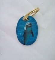 ΜΠΡΕΛΟΚ ΜΕΤΑΛΛΙΚΟ ΤΗΣ SILCA ΜΕ ΔΕΛΦΙΝΙ