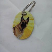 ΜΠΡΕΛΟΚ ΜΕΤΑΛΛΙΚΟ ΤΗΣ SILCA ΜΕ ΛΥΚΟΣΚΥΛΟ