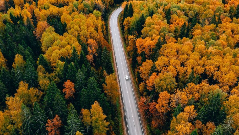 φθινοπωρινό οδικό ταξίδι μέσα σε δάσος – αποδράσεις και συμβουλές ασφάλειας σπιτιού από τη MK Security